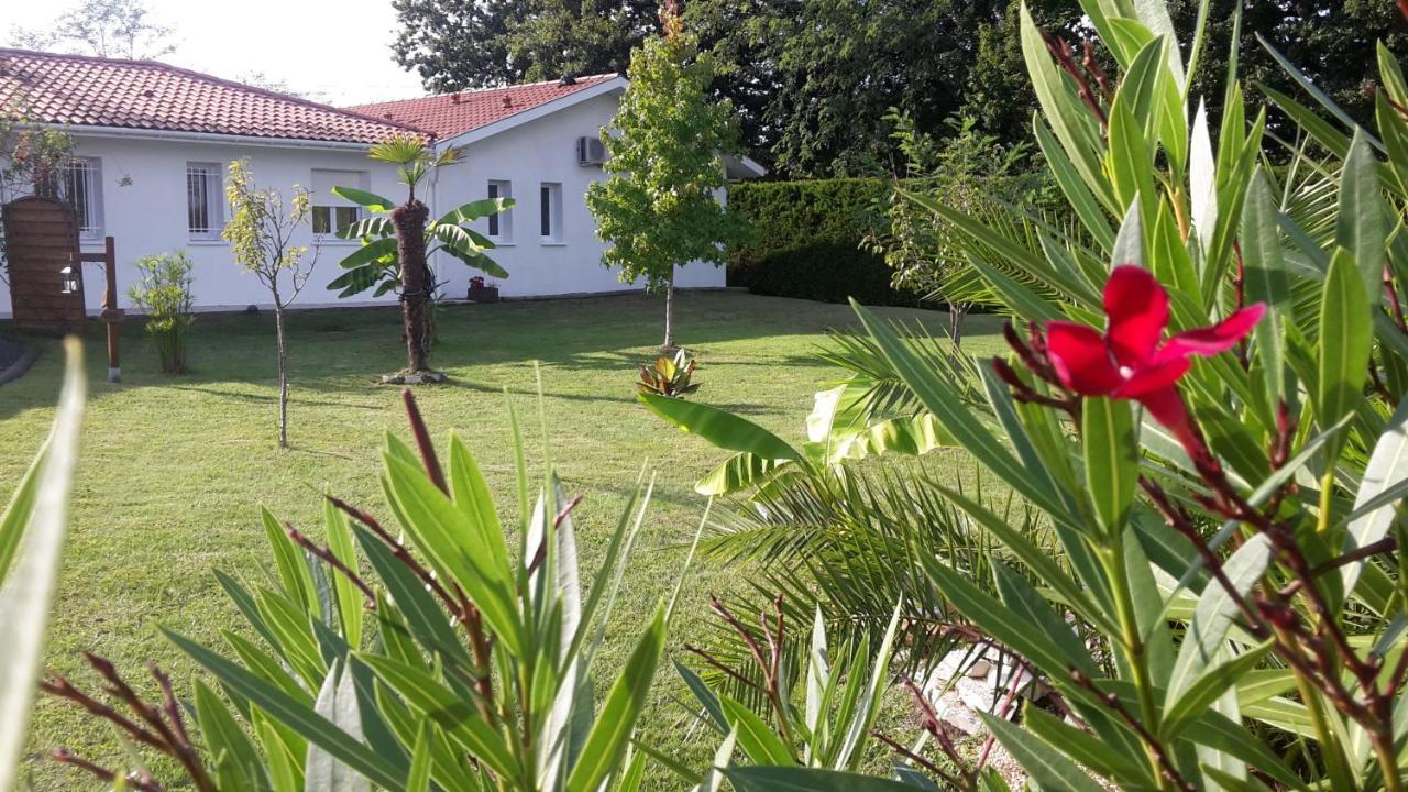 Chambres D'Hotes - Le Petit Bali Saint-Pandelon Luaran gambar